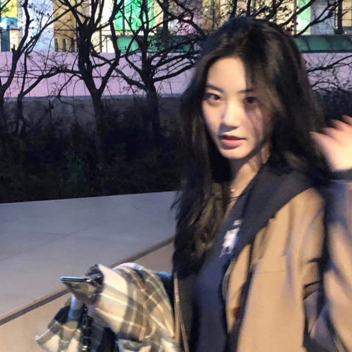 藏獒多吉